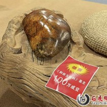 刚刚,石家庄奇石展上100万成交的籽料奇石,你是不是也有一块!