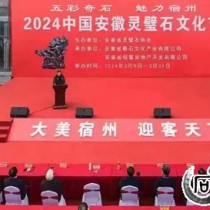 ��赡��湵���������ؽ��ٰ����ʯ�Ļ����������ͬ�ƶ����ʯ�Ļ��Ĵ����뷢չ