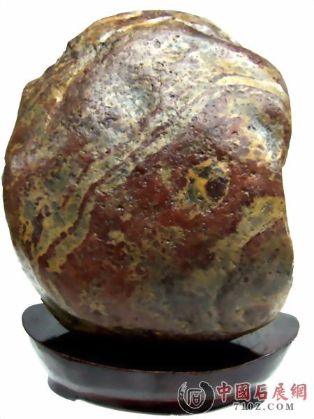 ��Ƭ2009.5.1 043.jpg