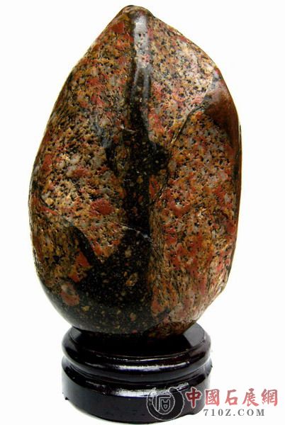 ��Ƭ2009.5.1 046.jpg