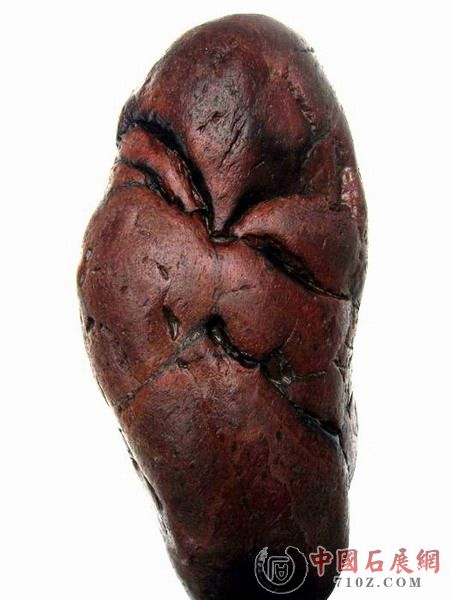 ��Ƭ2009.5.1 096.jpg