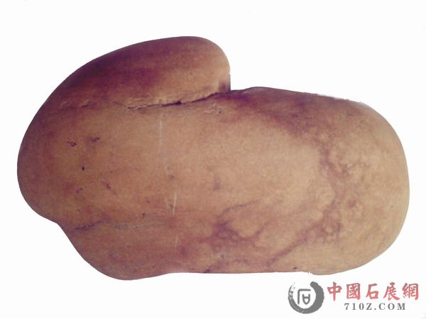 ��Ƭ2008 014.jpg