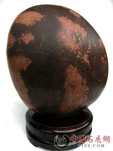 ��Ƭ2009.5.1 018.jpg