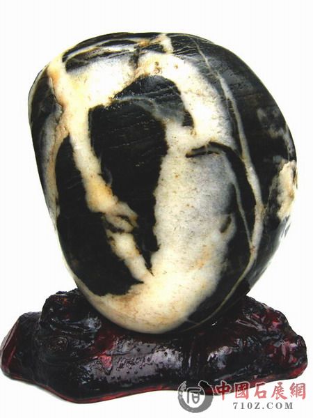 ��Ƭ2009.5.1 008.jpg