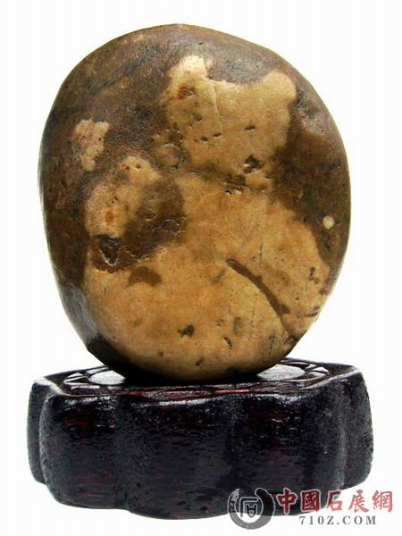 ��Ƭ2009.5.1 037.jpg