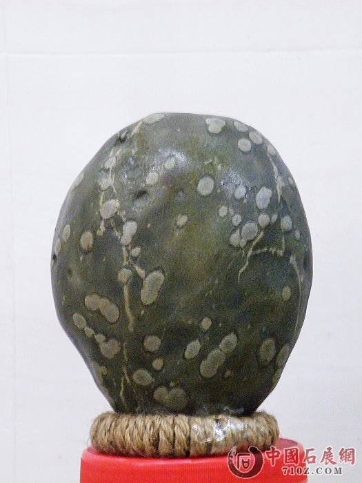 nEO_IMG_��Ƭ 029.jpg