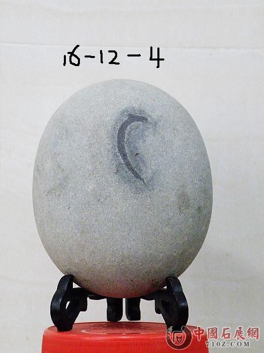 nEO_IMG_��Ƭ 031.jpg