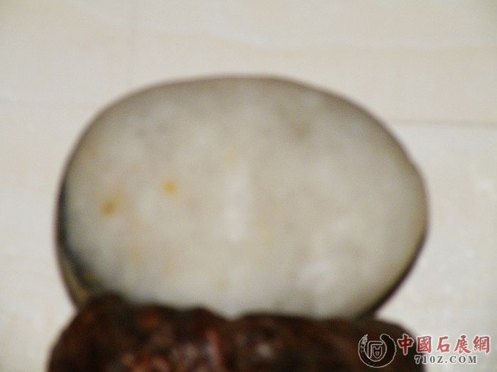 nEO_IMG_��Ƭ 037.jpg