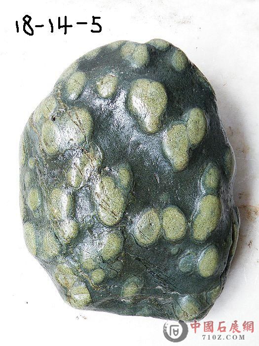 nEO_IMG_��Ƭ 025.jpg