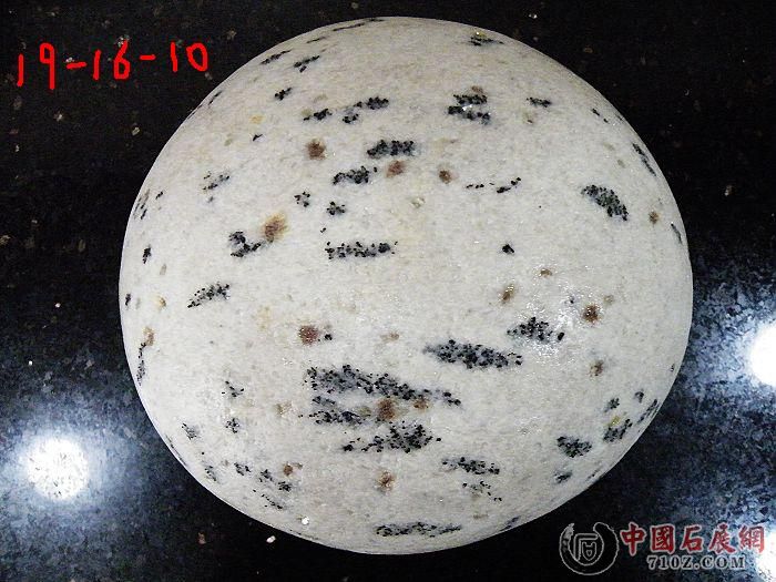 nEO_IMG_��Ƭ 061.jpg