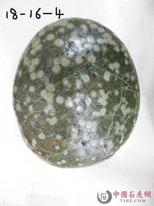 nEO_IMG_��Ƭ 063.jpg