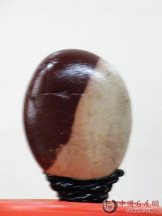 nEO_IMG_��Ƭ 083.jpg