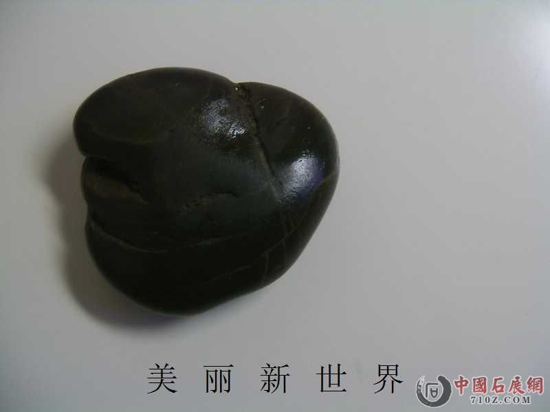 ������ȨͷŶ