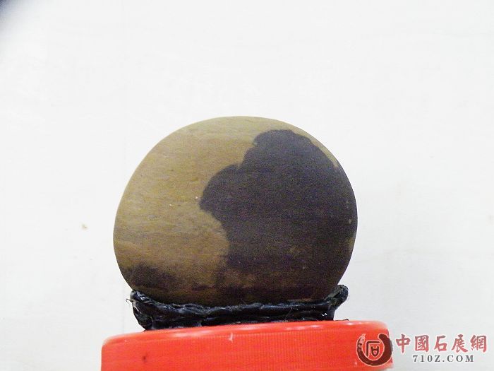 nEO_IMG_��Ƭ 030.jpg