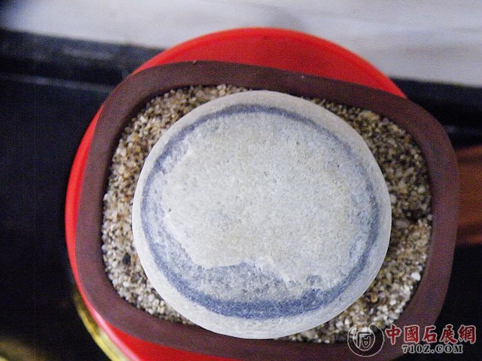 nEO_IMG_��Ƭ 032.jpg