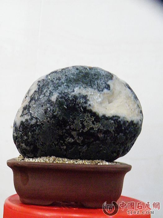 nEO_IMG_��Ƭ 037.jpg