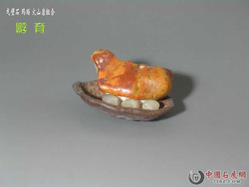 ��  �� 1.jpg