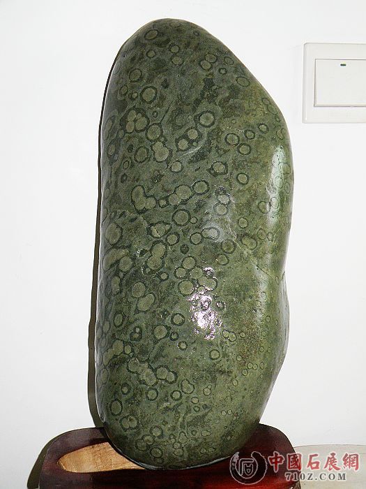 nEO_IMG_��Ƭ 011.jpg