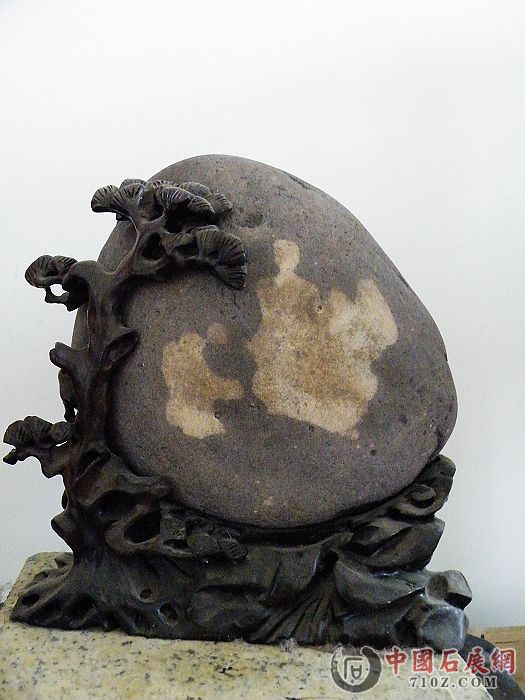 nEO_IMG_��Ƭ 002.jpg