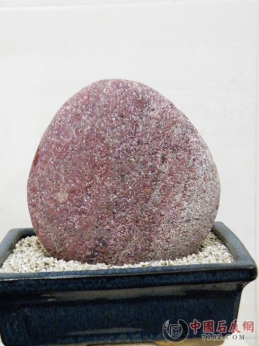 nEO_IMG_��Ƭ 023.jpg