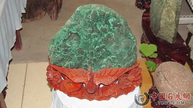 ��ȸ����