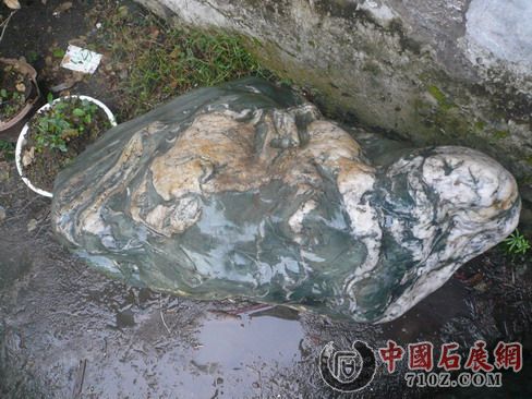 ���������[����] 