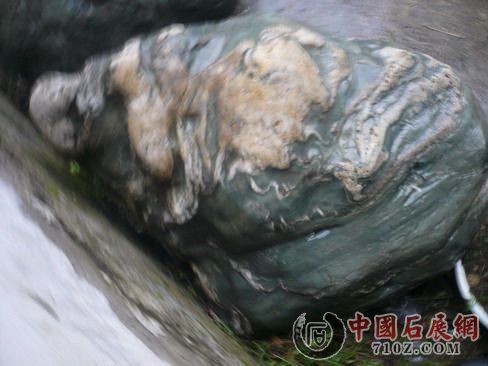 ���������[����] 