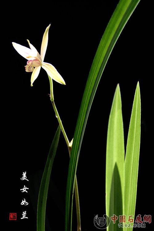 ���� .1����_����.jpg