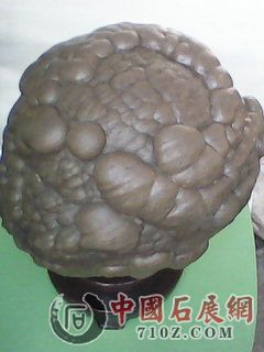 [�����ں�]������ɽ��