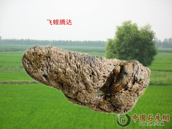 ���� �ȳ�.jpg