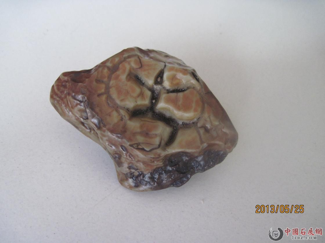 ���� 020.jpg