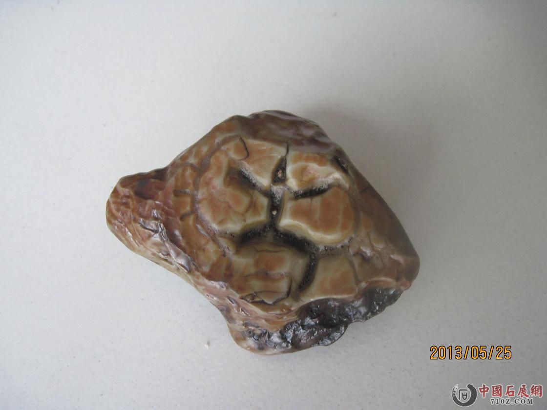 ���� 022.jpg