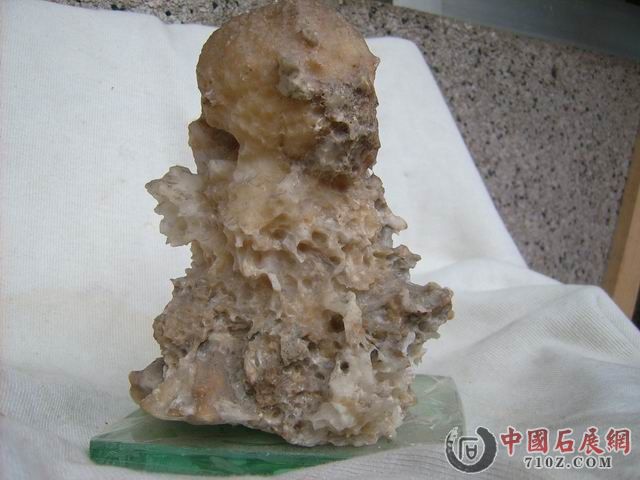 ������С JD501608.JPG