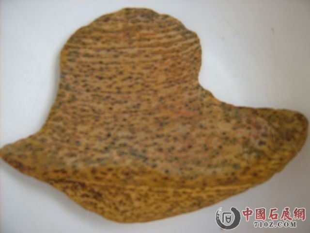 ���� (2) ���ñ��11CM��2CM��9CM (7).JPG