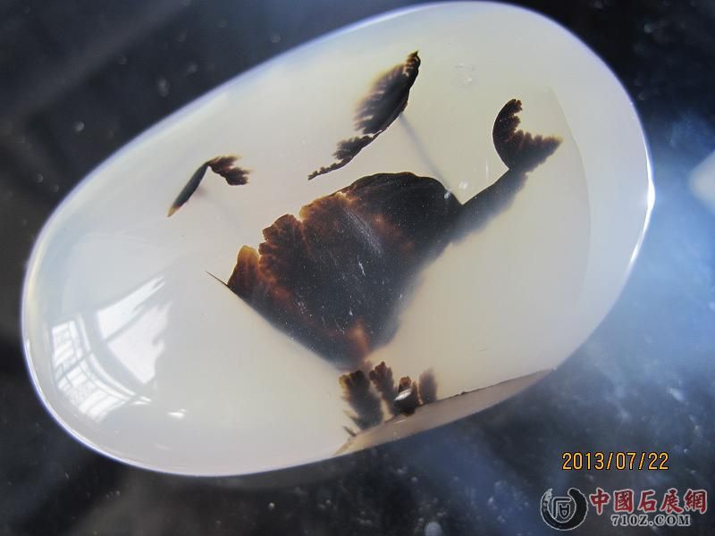 ���� 043.jpg