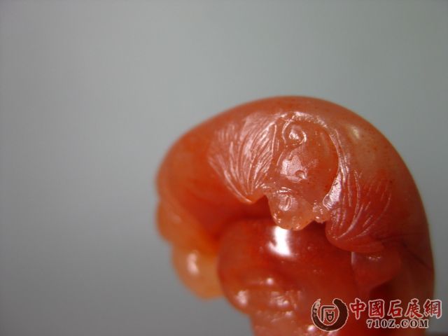 ���� IMG_0628.JPG