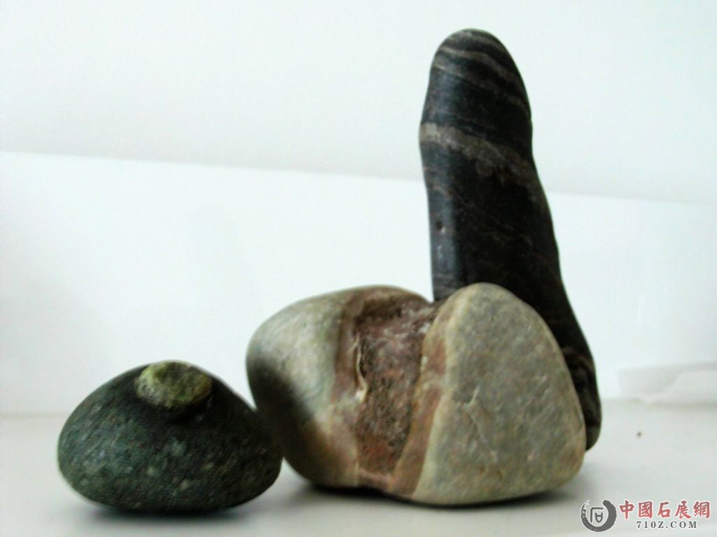 �����ع� FILE1312.JPG