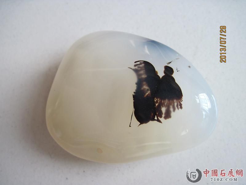 ���̺� 035.jpg