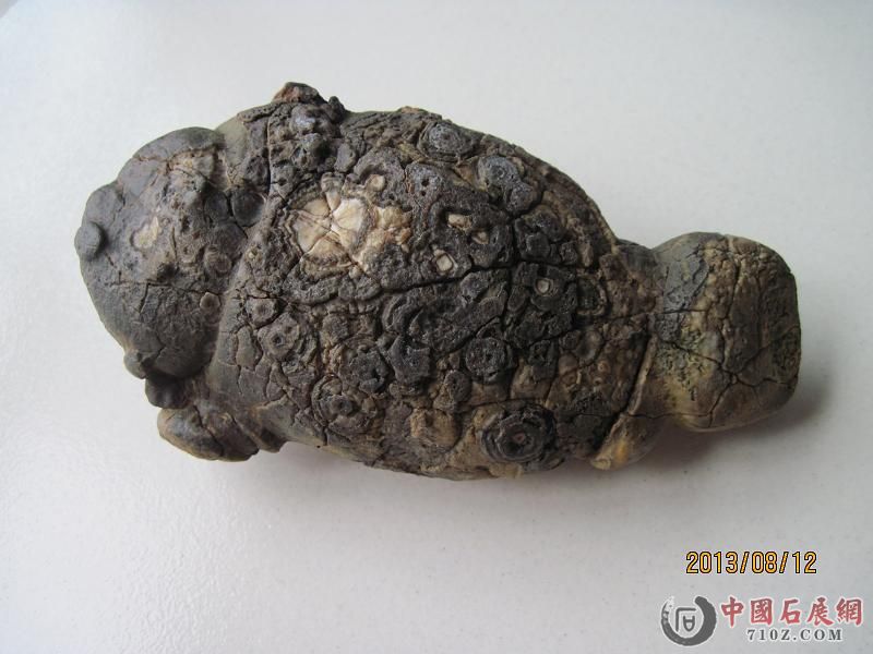 ����ʯ 115.jpg