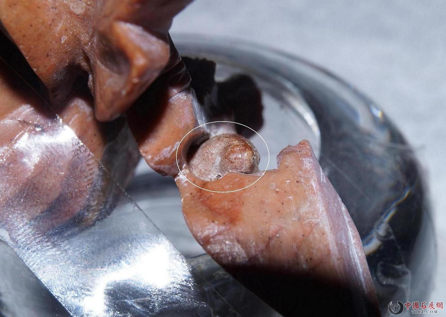 1. ԭ����ߴ�