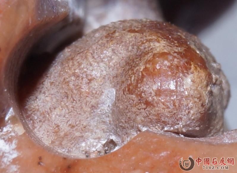 3. ���屻�Ŵ�