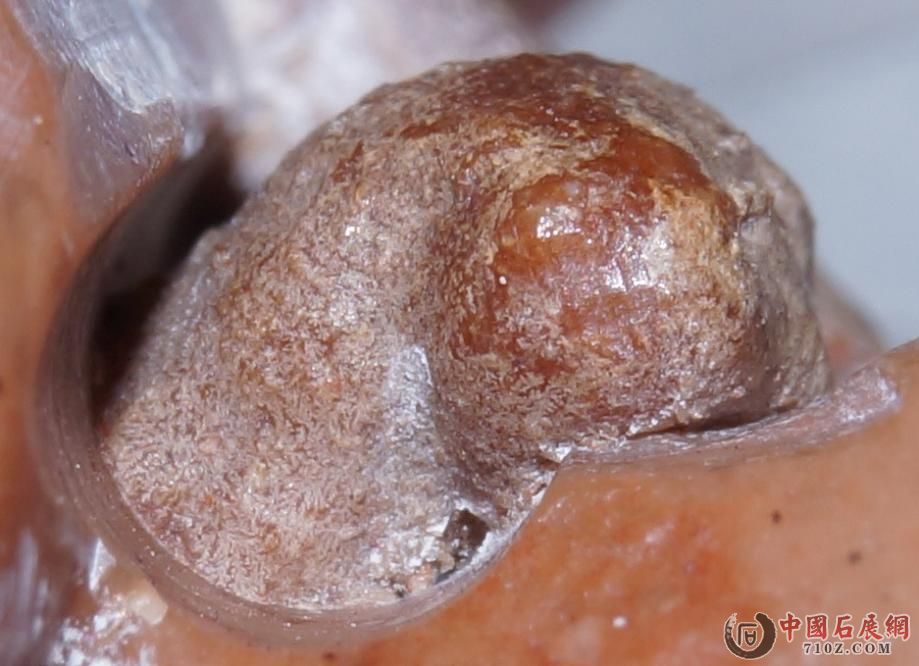 4. �����Ҳ���