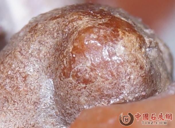 5. ¡���ͷ & ����