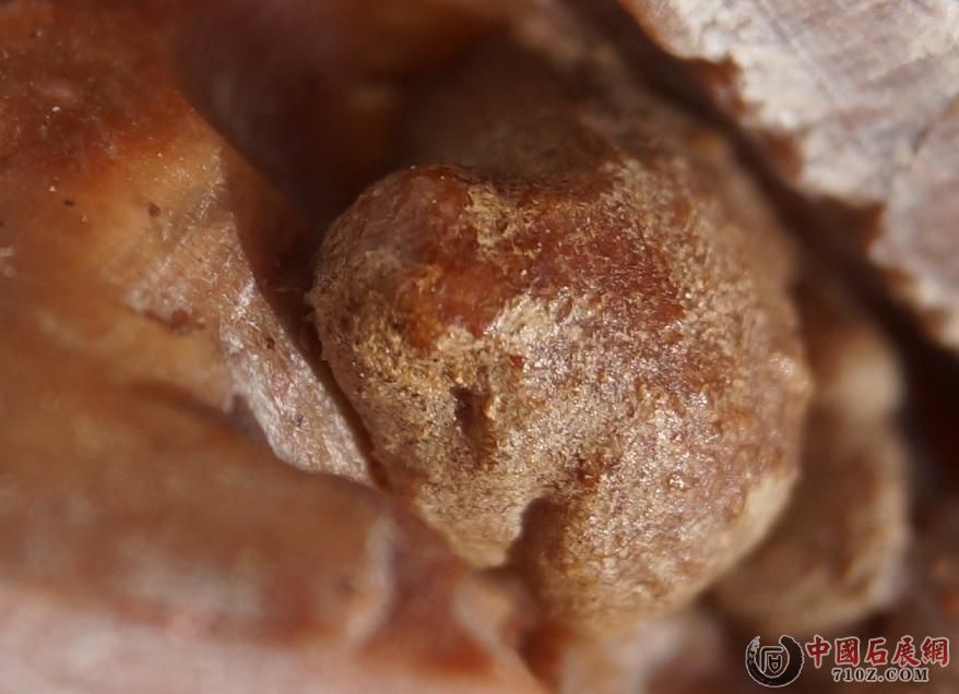 11. ���������