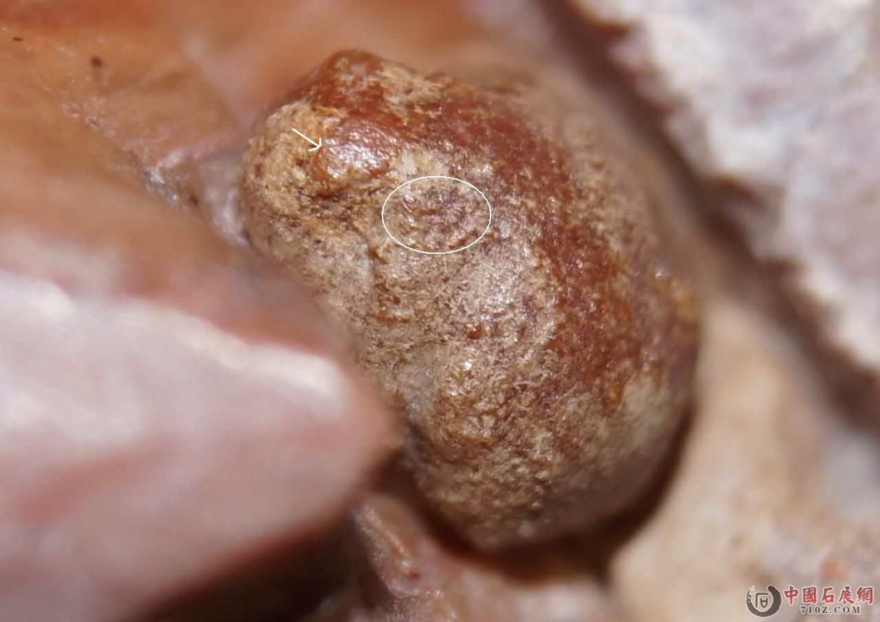 12. ��ͷ�޽�&����޽ǲ����ĺۼ�