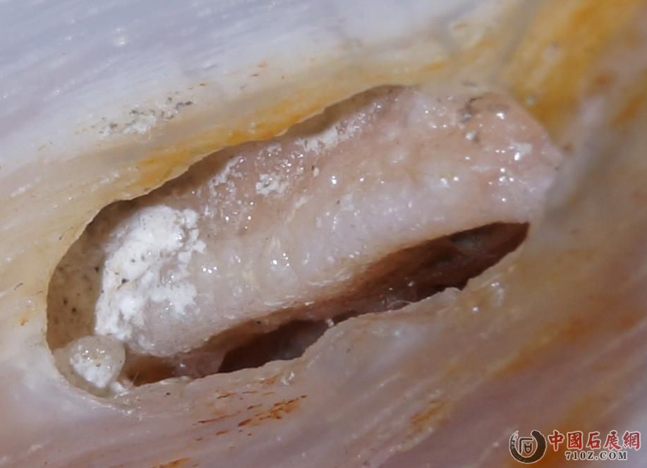 1. �滯�񱻷Ŵ�