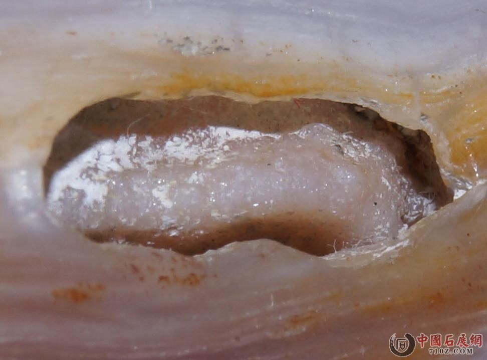 9. �滯�񱻷Ŵ�