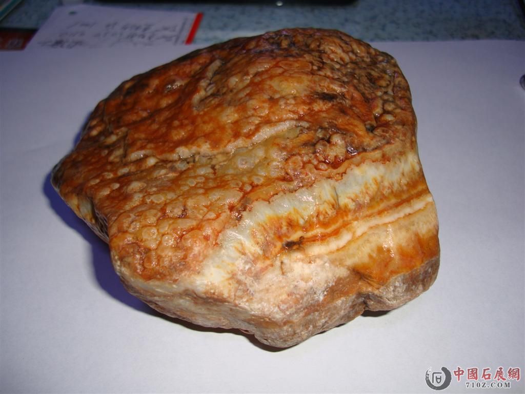 DSC02288 (����).JPG