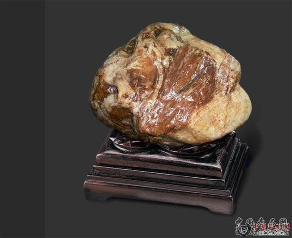 psu (����).jpg