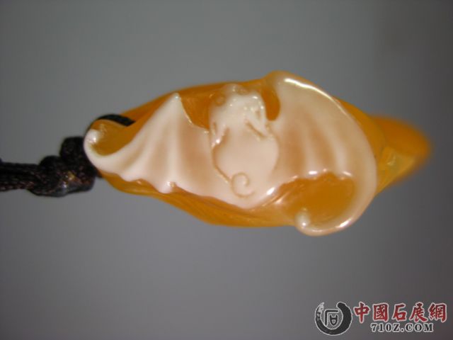 ���� IMG_0797.JPG